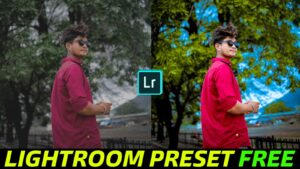 Green and Blue Lightroom Preset