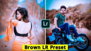 Lightroom brown tone preset mobile