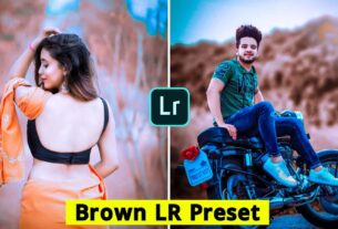 Lightroom brown tone preset mobile