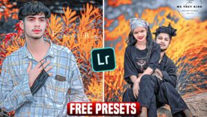 Haryana DC Job Presets FREE