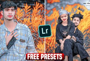 Haryana DC Job Presets FREE
