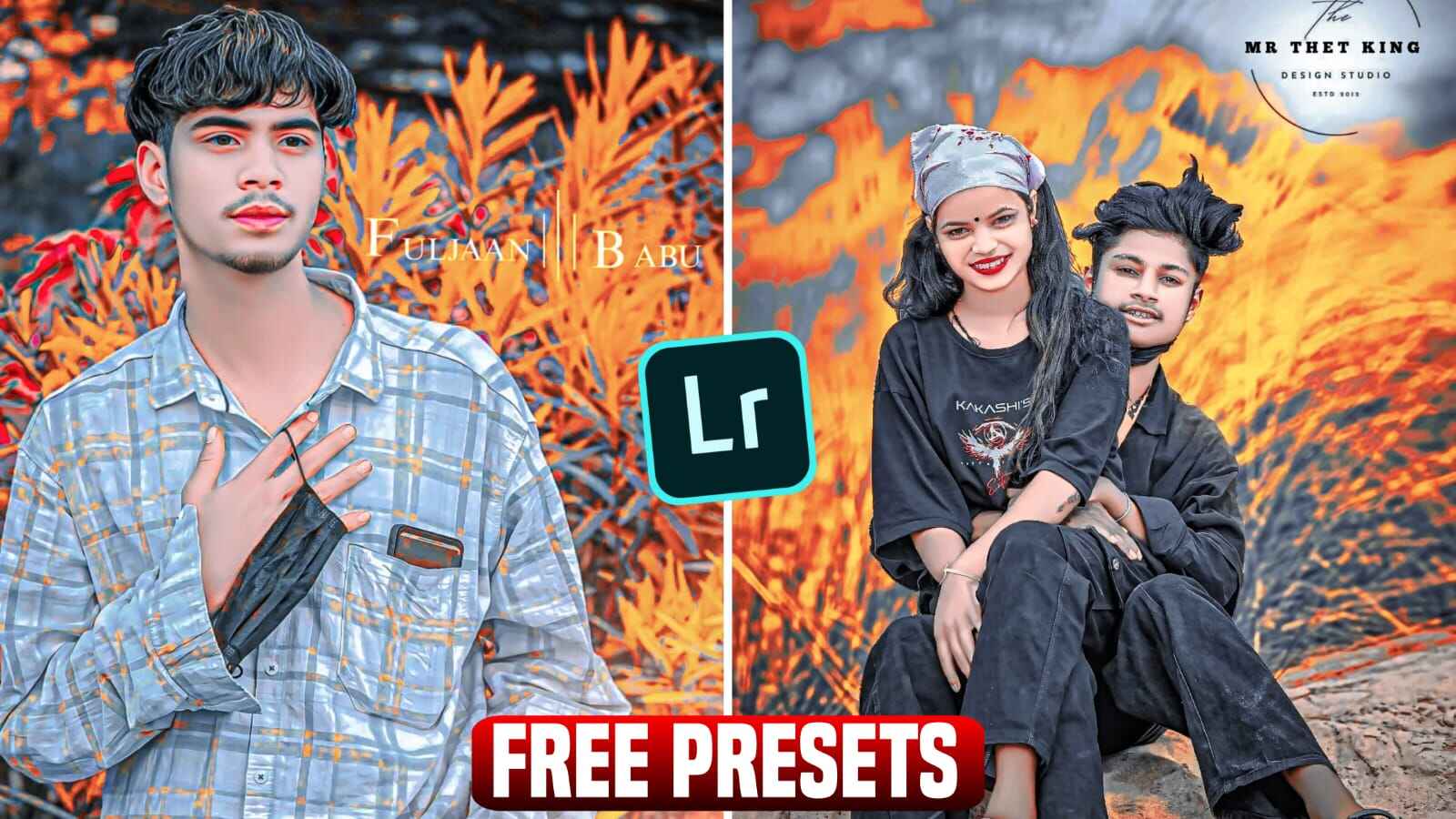 Haryana DC Job Presets FREE