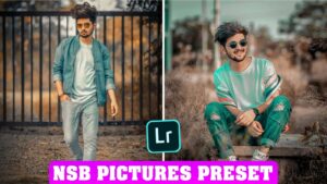 NSB Pictures Lightroom Presets