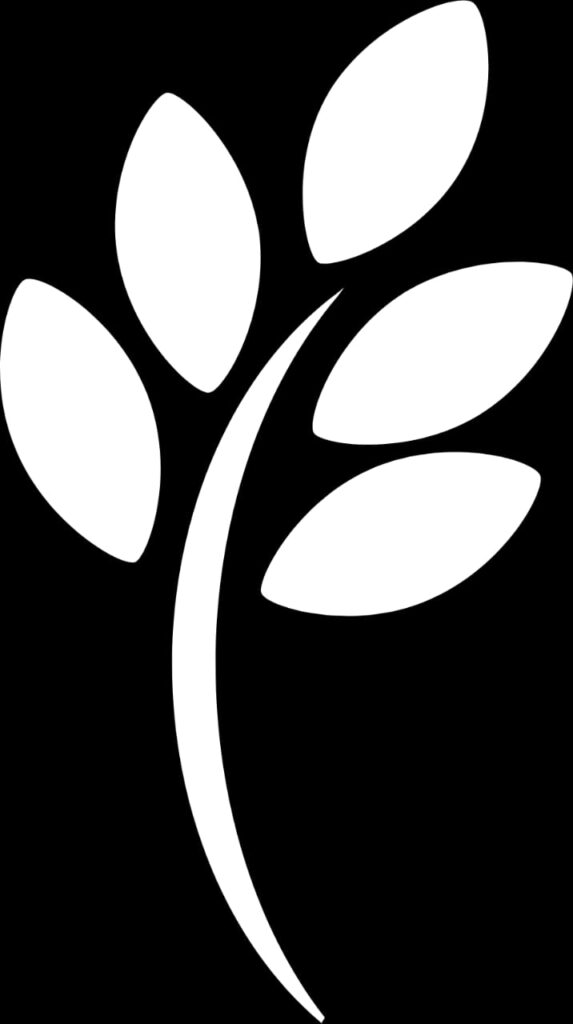 Nagpuri Logo Kaise Banaye