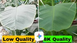 Photo Quality Increase Google Gemini Prompt