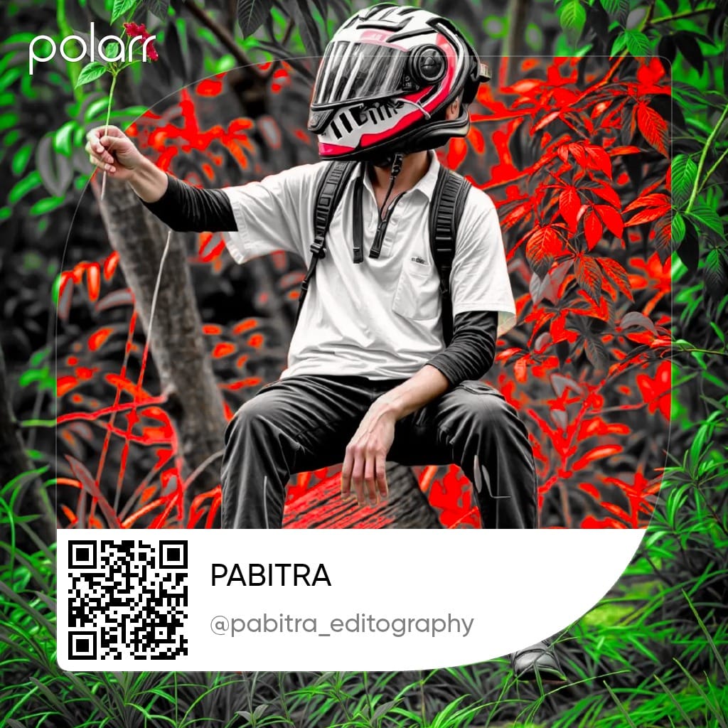 Qr Code Scanner Photo Editing